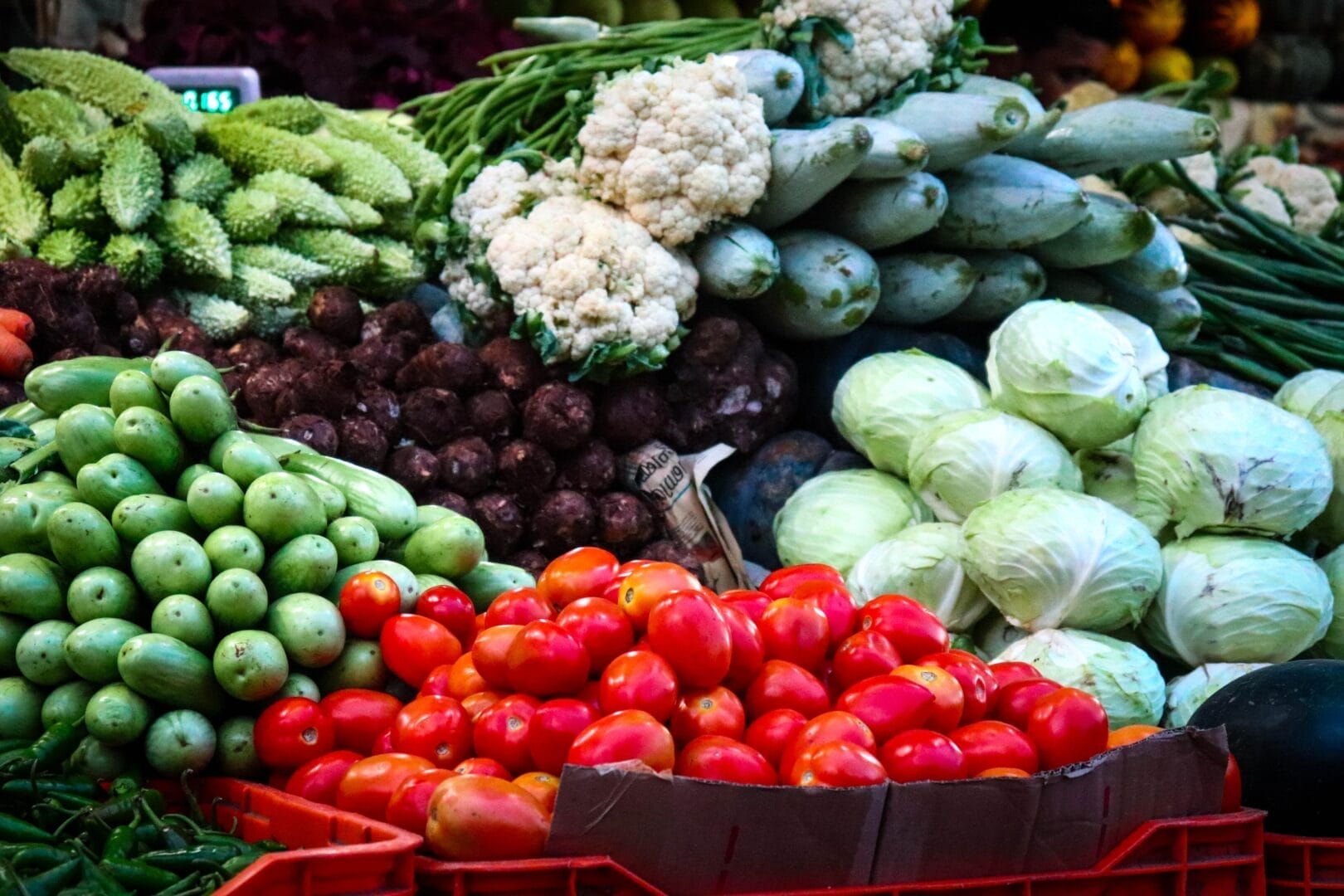 Nutrition coaching for best results